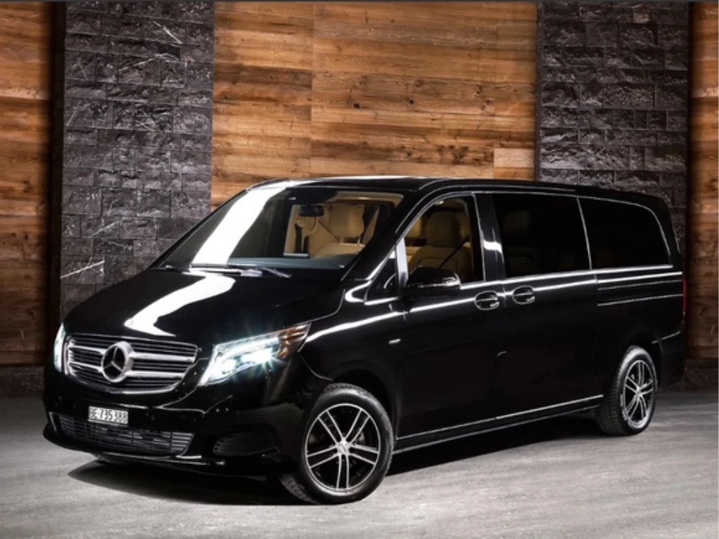 Untitled design (11)